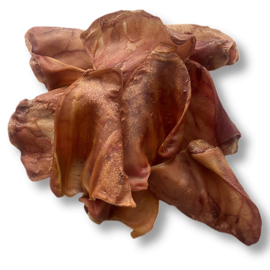 Dog Treat - Pigs Ear